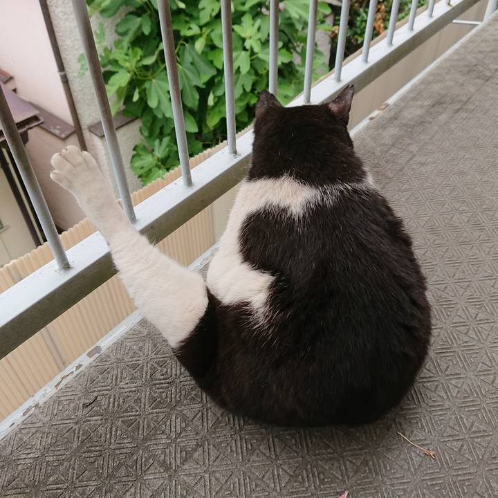 Ce19f802 3a85 4af3 abf0 34f7d0443211 1559961196852