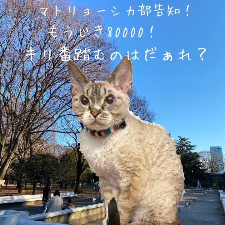 Ce1a058e 2c1e 44c5 becd 363cdf4b7b93 1610257122397