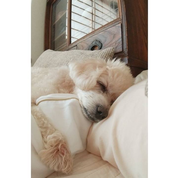 Ce1a4b30 beb0 4dc4 9336 54281a502a2d 1660451500244