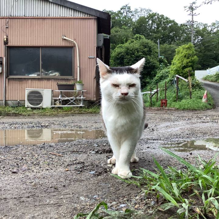 Ce1a4c62 83ba 4740 a7c6 f9e605fa4198 1597282675673