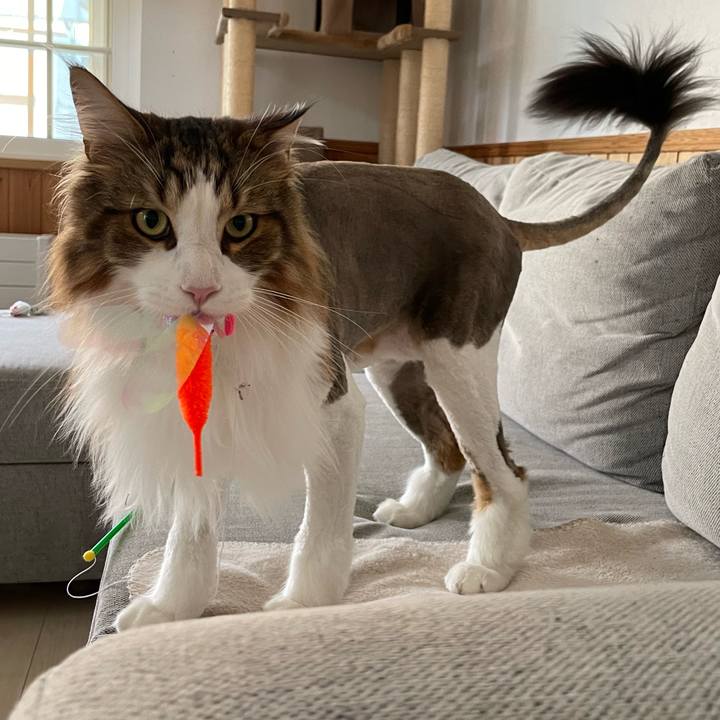 Ce1a4d4f 9d22 4eb5 8b57 2913441b56be 1687056413702