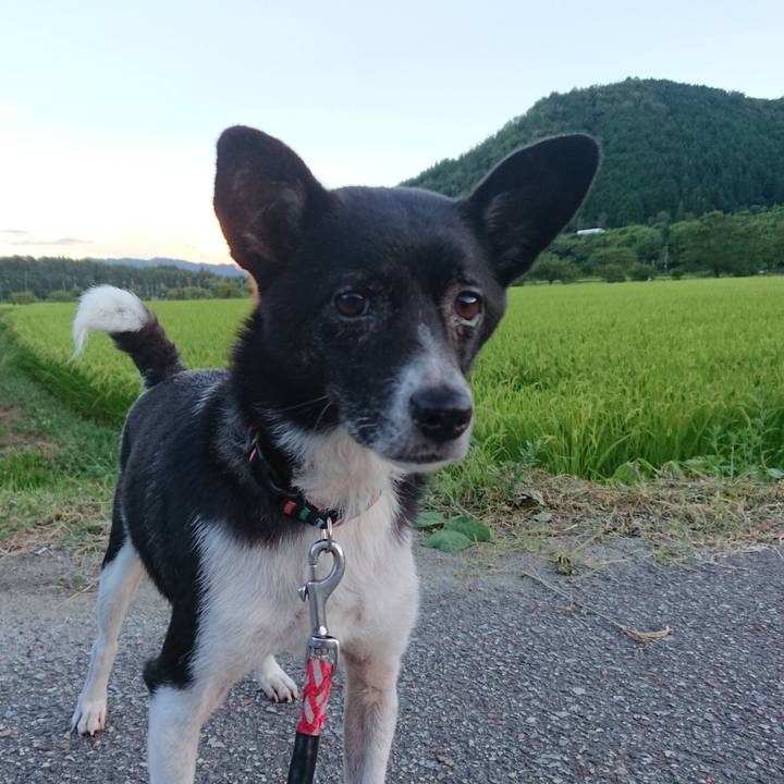 Ce1a6031 0615 423d 9661 b5221ef882d0 1628339599419