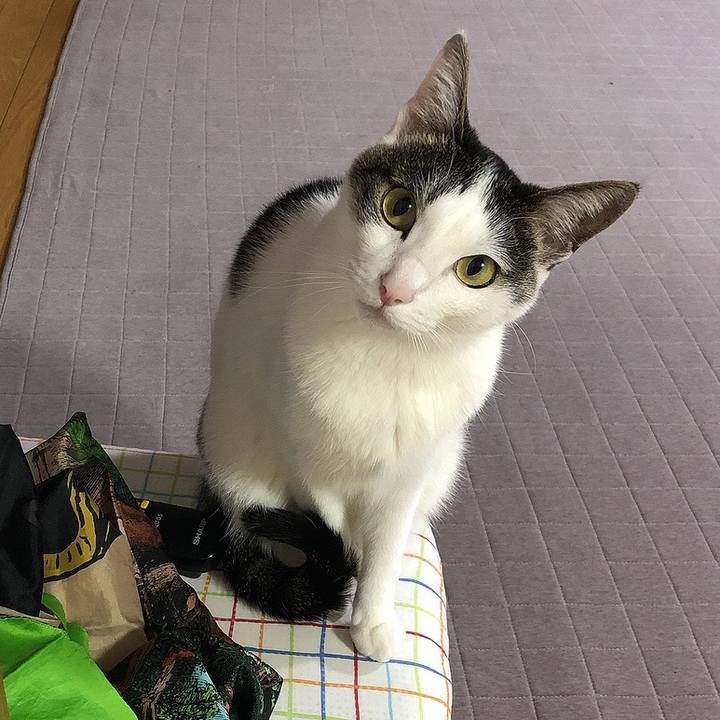 Ce1a940c ccee 4871 93f3 5c1421dc55e2 1650987310156