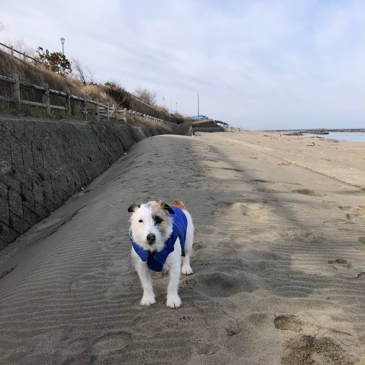 Ce1acd66 6888 4c85 85e4 5422b960c393 1585525840843