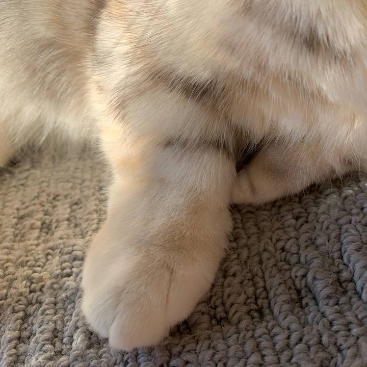 Ce1b1732 bb39 4880 bc84 904989878fa2 1708212729524