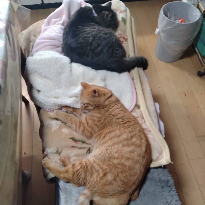 Ce1b1a43 adb0 46d7 b72b 972e770ff4a7 1674348049075