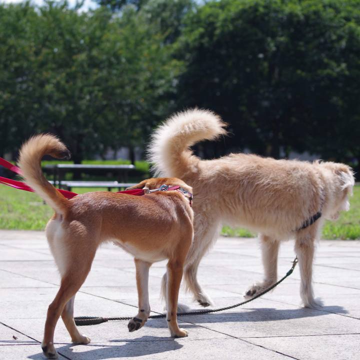 Ce1b4598 465b 4ae5 8979 6c78817e5d5a 1567953331500