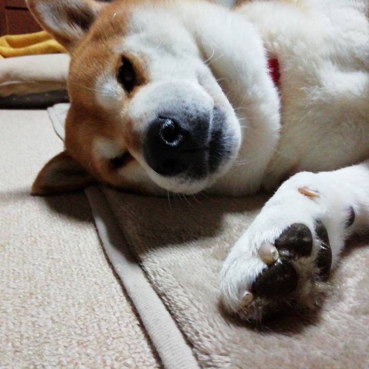 Ce1b68a7 ea6c 4e18 9eb1 e59753a7f3b2 1673426666086