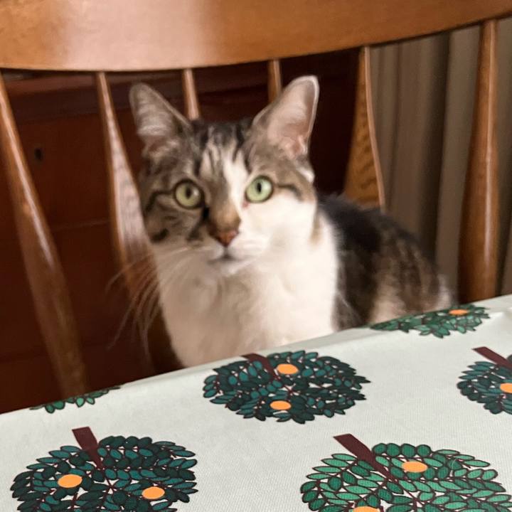 Ce1ba150 f389 49cd af9b 2d0bae385e8e 1774596178617