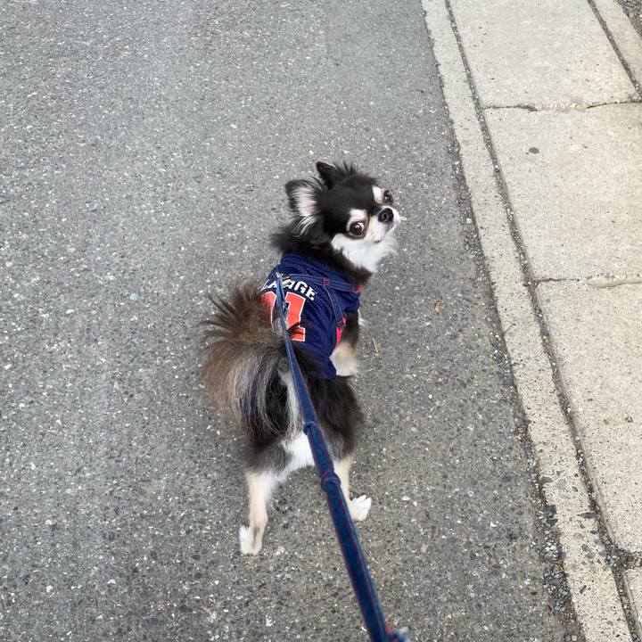 Ce1bb70d 0c26 419f 9ec3 3b987d3eb101 1719762143602