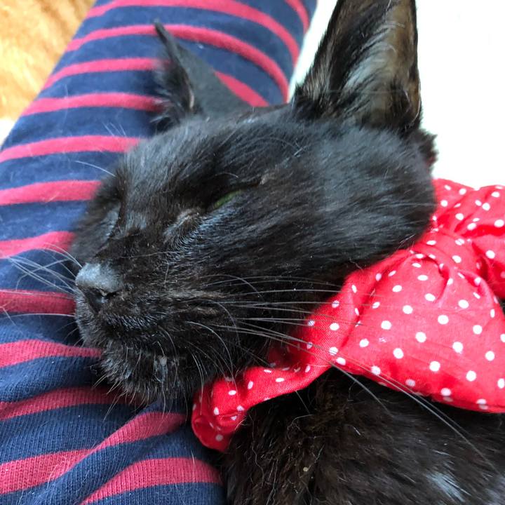 Ce1bc38f 9bb3 4d7f 88d3 ec64f0cf903b 1558470880718