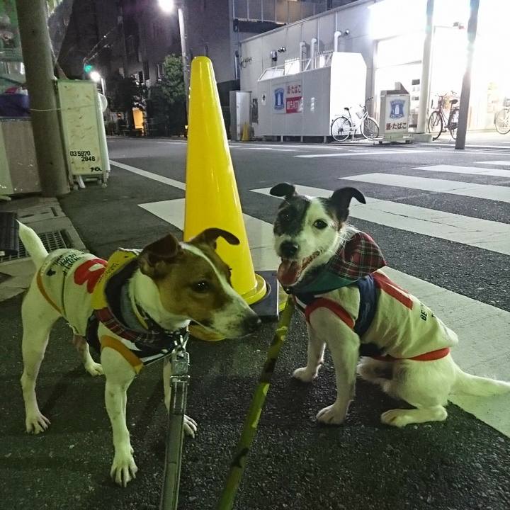 Ce1bd66c 5a27 4ce5 a796 62e8dfd7d008 1531659419910