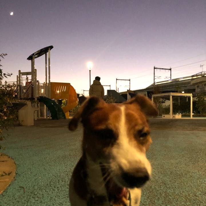 Ce1bd99a ca63 4667 bcd3 53be8f681151 1575153308340