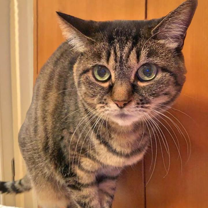 Ce1be8ec f44d 4273 b0cf 2d4c5efd7066 1762310507582