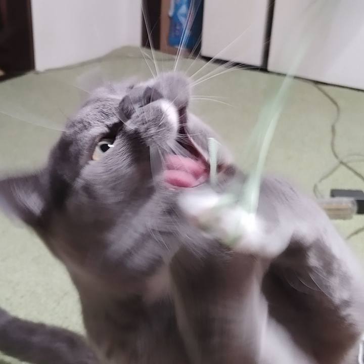 Ce1bf4ca 6864 4221 b60c 090c48528bb1 1634384498750