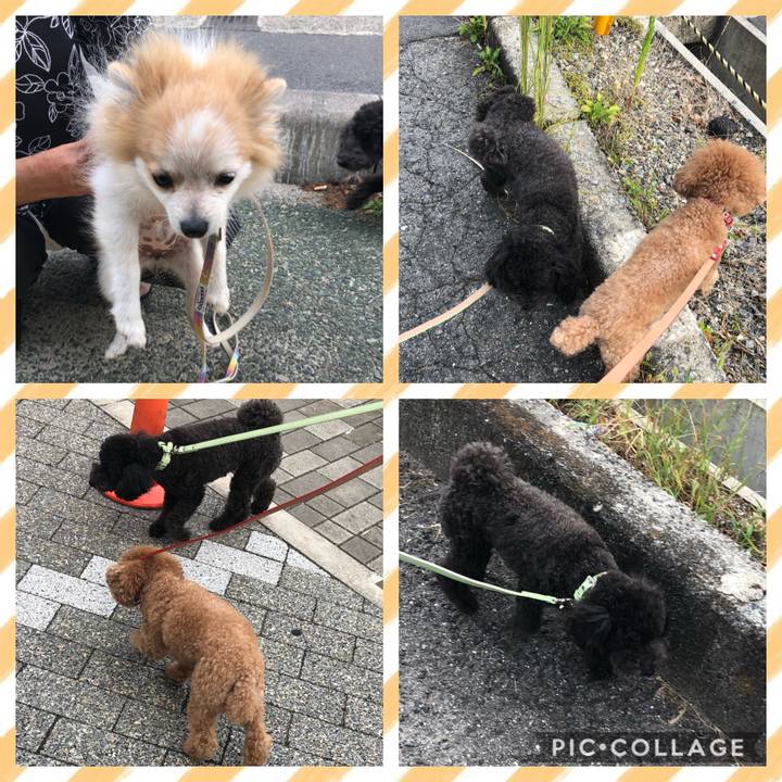 Ce1c1b19 b4ad 4f2e 9d5e e4774364380a 1600842103137