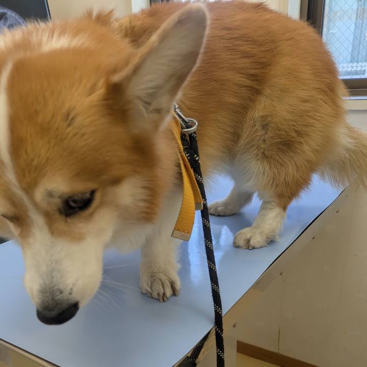 Ce1c3ed1 5bba 412f ab8b b1af4787d506 1765369719449