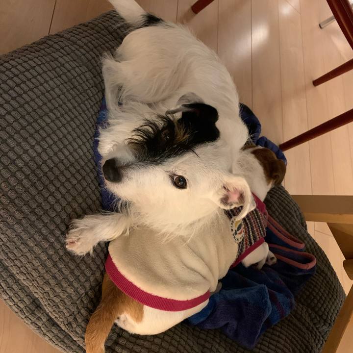 Ce1c6829 5a2a 4ea7 ab5d b5aa31100c34 1576669837866