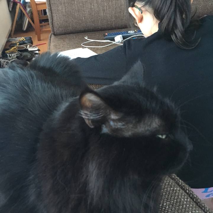 Ce1c8f26 80e7 4287 b5b7 827c08490ff6 1517297082054