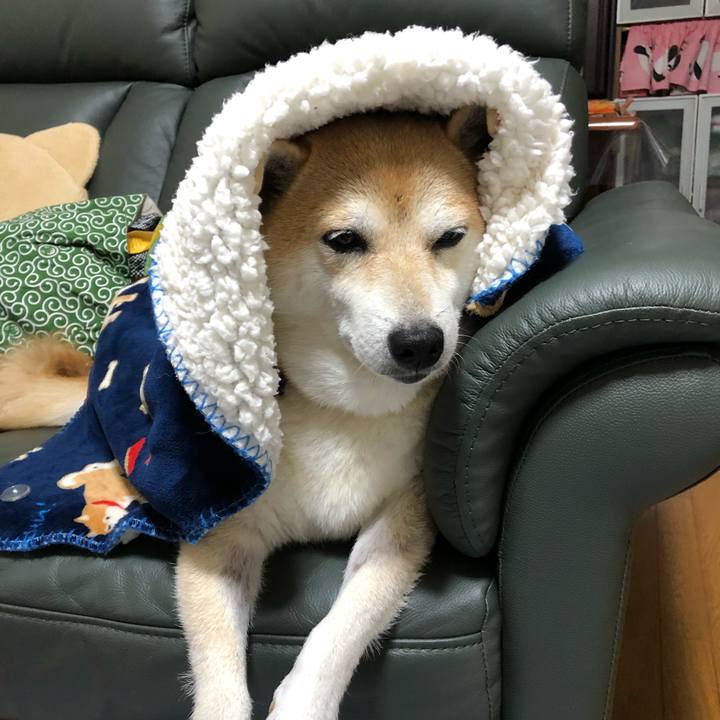 Ce1ce6c2 cfb6 4f3a 94e9 a8b246832a05 1572257378095