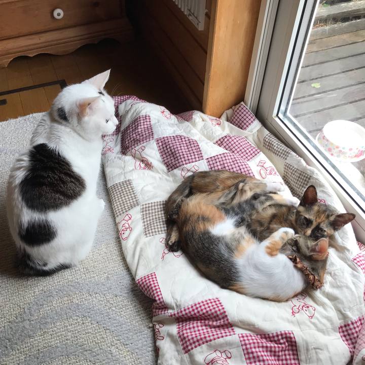 Ce1cf16e b8c7 4d4c abc1 61919953904e 1601164676816