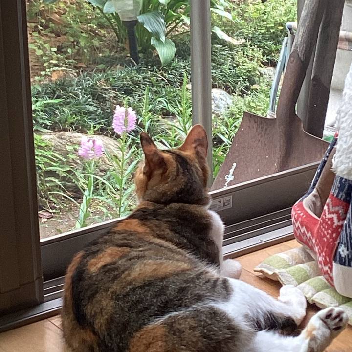 Ce1d201c 17c4 4ee4 a563 245803491d6e 1661749960471