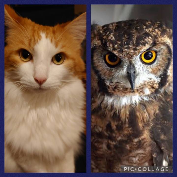 Ce1d27e4 3694 45bf bf8a 6d77c7500d2e 1637987086959