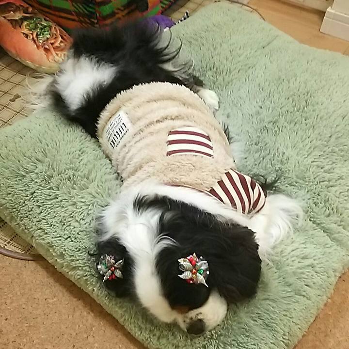 Ce1d2dd4 2661 4da4 ada1 44b046801530 1545535488551