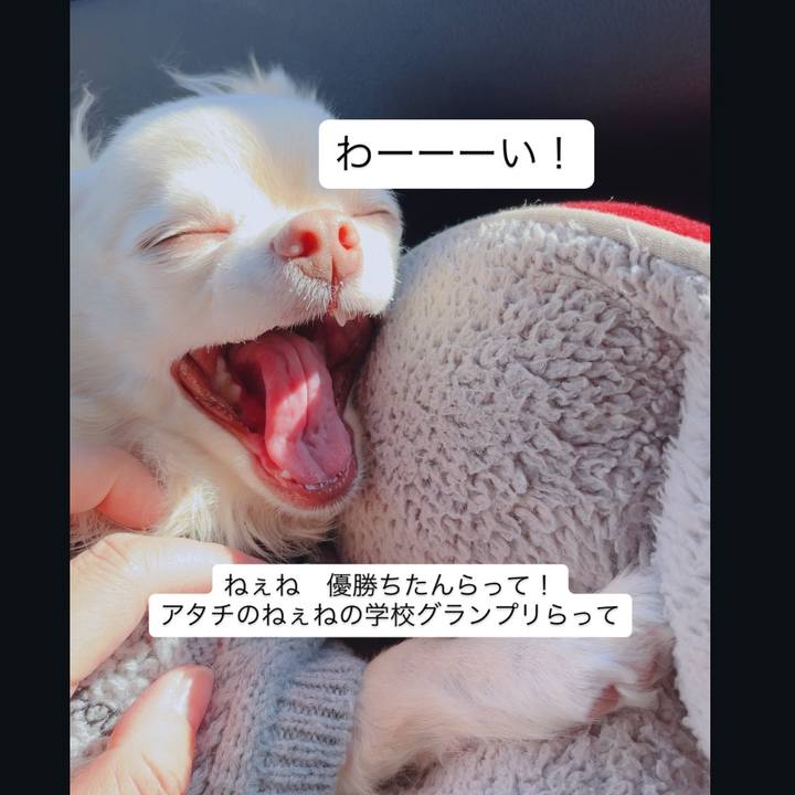 Ce1d31b5 d70c 4500 8e99 70996d2937d5 1765115973214