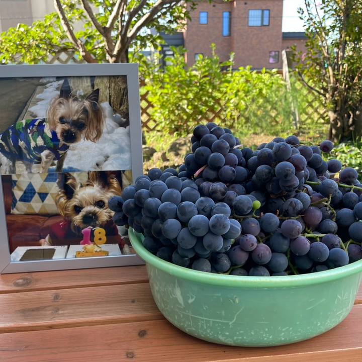 Ce1d633c 61db 4414 98b1 4416f390cadf 1757846424834