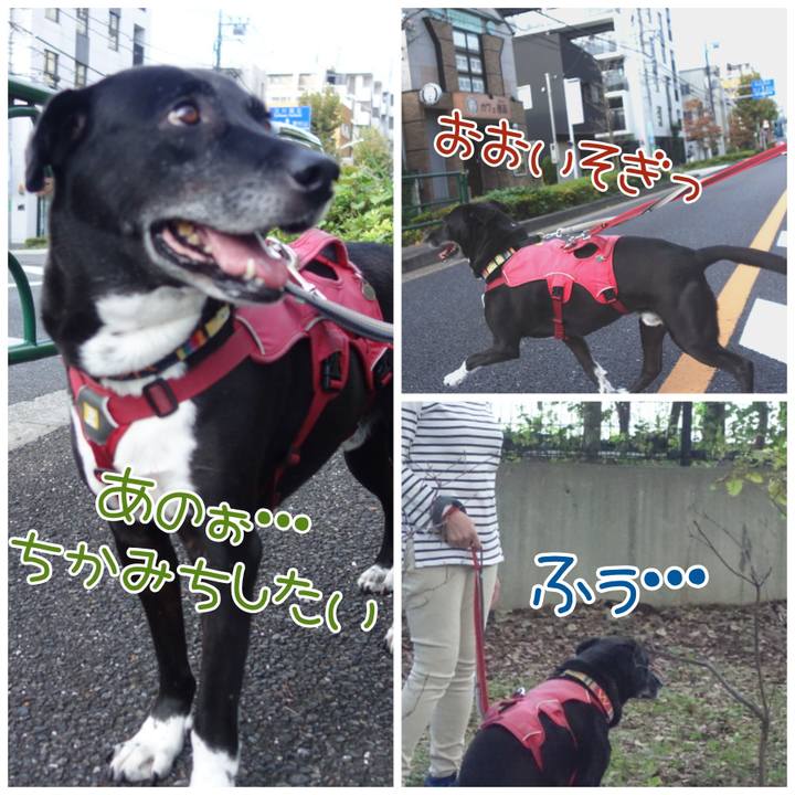 Ce1d7651 f47c 449b 8c99 0c912414be03 1696984485621