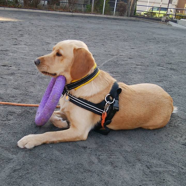 Ce1d8676 01a9 4922 a3d3 8b59c4cf3e1d 1516065308182