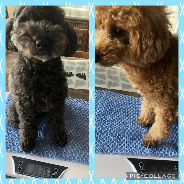 Ce1db9a6 2912 4f22 a1cf 77bc46adb684 1615879082330