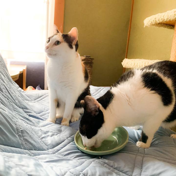 Ce1dc07c 929a 4622 a20e 4a3454dcf5f9 1571364430485