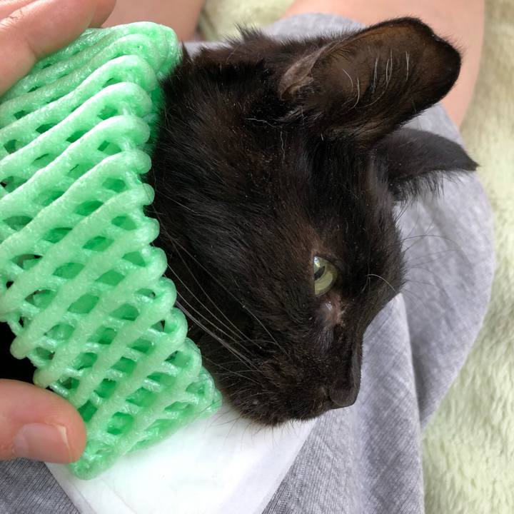 Ce1e311b 3e24 4aff a8ee a279fa713bf7 1559915772695