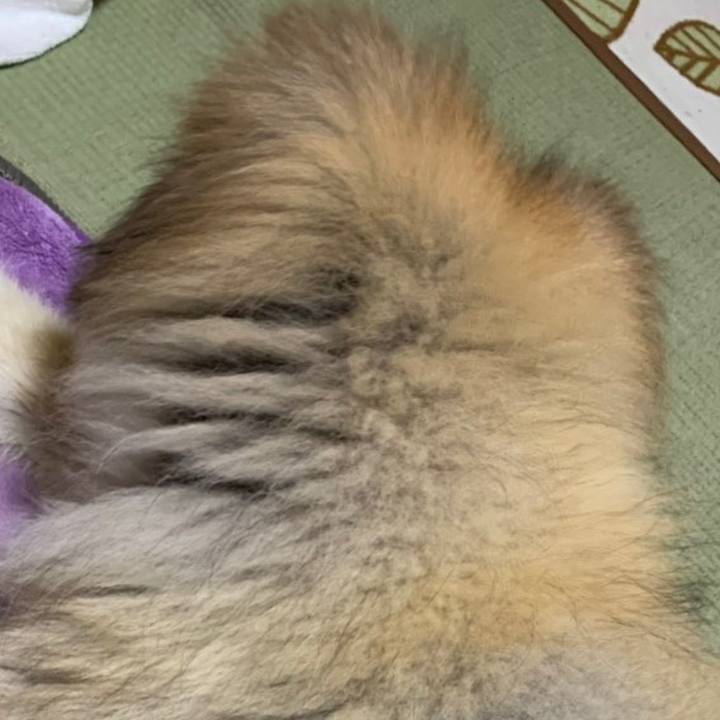 Ce1e68d7 1169 4d4a b676 e11160fe8219 1629671431244