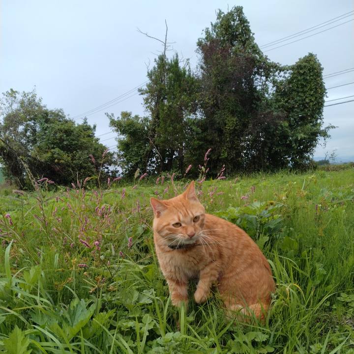 Ce1e6aa8 2257 46db 9b53 986f5ef8ac96 1665714637168