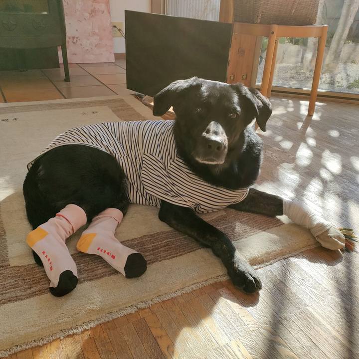 Ce1ed219 96e8 4b4e b29f 61027b6c259c 1677999988794