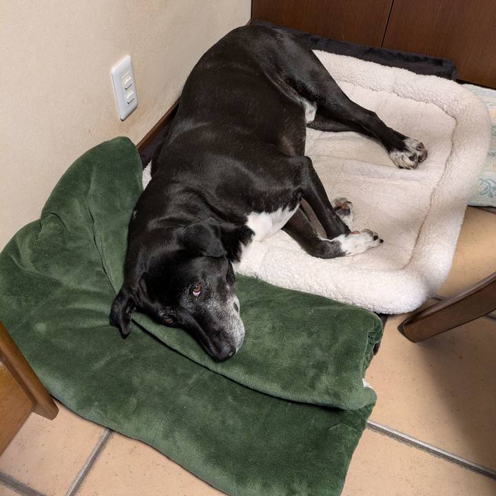 Ce1edbe0 6dbb 4790 bed4 cf56a9d7703a 1761294972473