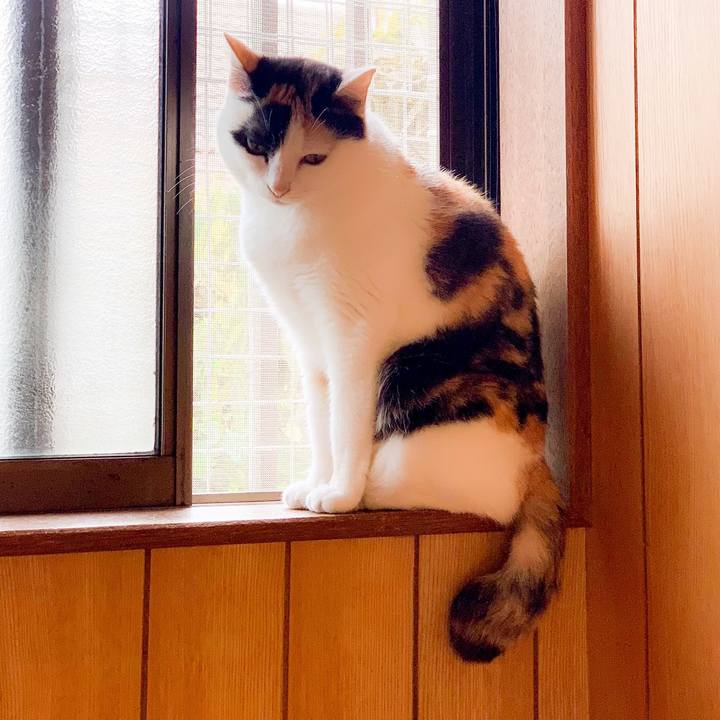 Ce1ee1cc ebd2 459f 81ae b5aa57c62258 1562120257493