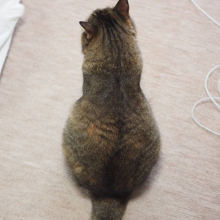 Ce1ef424 aee5 46f5 bd98 32da35914329 1524696373748