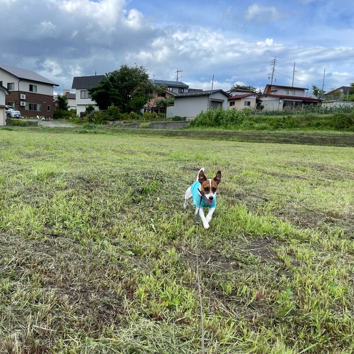 Ce1f055c c9cc 4ab5 a72a 334bce85a81b 1628502959511