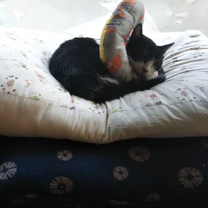 Ce1f3b5a 96e8 4d50 83a8 2c1ef44a4c25 1605340164461