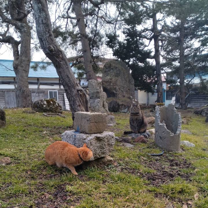 Ce1f482a bd2d 4e02 bf30 532bfdac0f8c 1709104345325