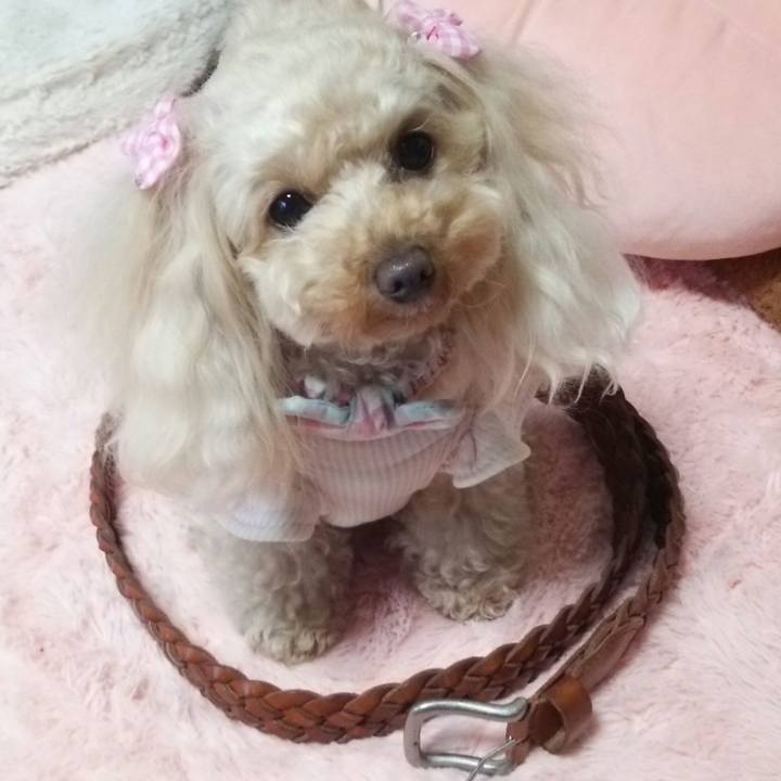 Ce1f4aca 6b91 46f8 8319 aeddc59a2d18 1520508915441