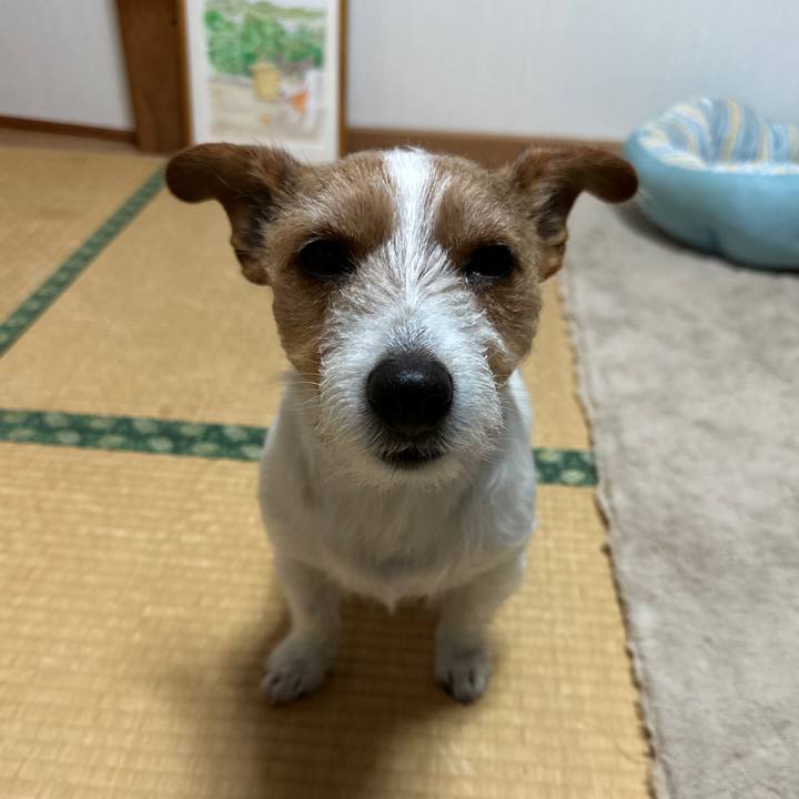 Ce1f6565 b5a0 4174 a991 695cdf0c5f59 1770240723135