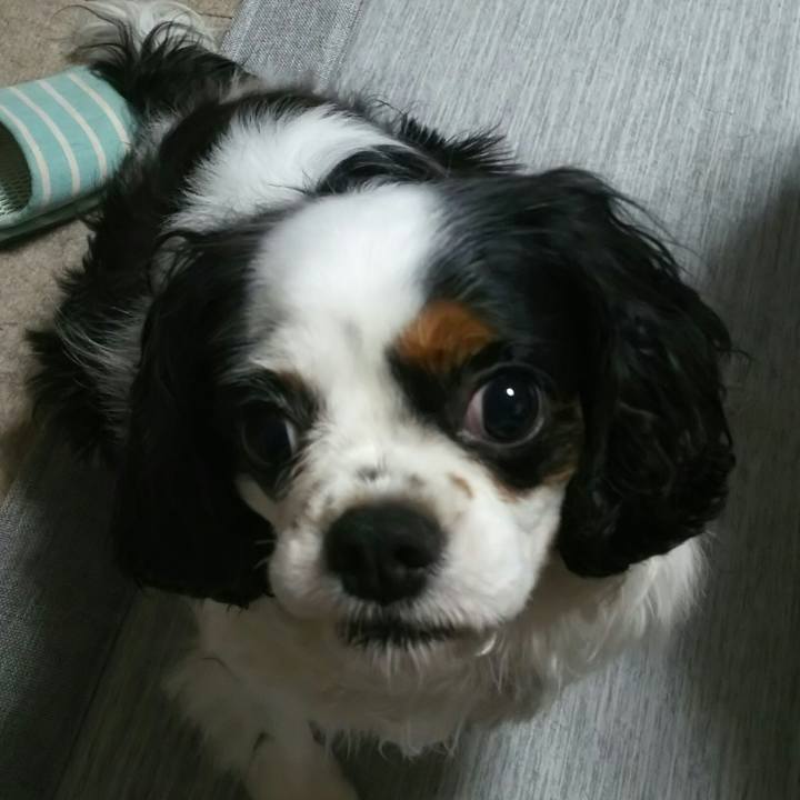 Ce1f66a0 9680 4f66 9188 fb7229600b4d 1532876412365