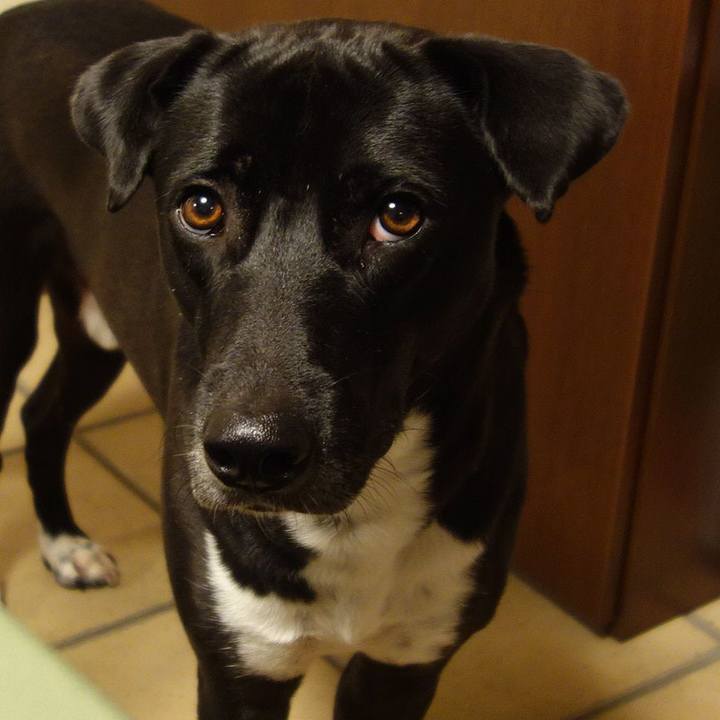 Ce1f78c4 664f 4b44 942e cae2662de184 1602929816731