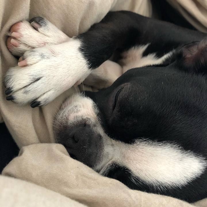 Ce1f89a3 2a08 4cb5 a0e7 49bdd189cbc0 1524277448025