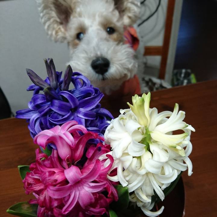 Ce1f9fbd 03e8 4e69 86a2 3ebb55ff90e5 1519633499186